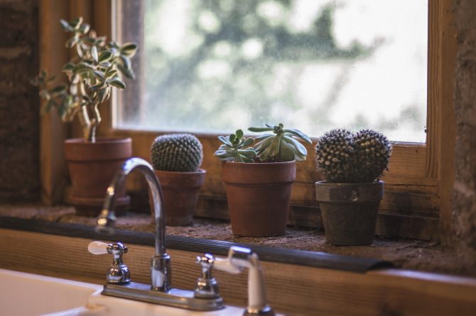 Träfönster i köket. Ovanför diskhon står suckulenter och kaktusar i krukor. 